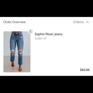 Risen Distressed Blue Women's Flare Jeans